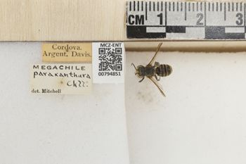 Media type: image;   Entomology 794851 Aspect: Labels
